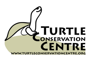 Final version TCC logo