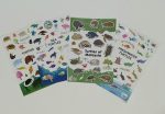 Turtle Stickers (4 pcs/set)