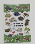 Turtle Stickers (4 pcs/set) - Image 2