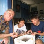 Viewing newly-emerged river terrapins