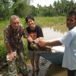 Terrapin from fishermen's nets