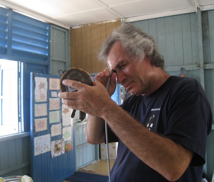 Gerald determines the sex of a terrapin