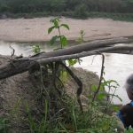 Gerald looking at Pok Yok