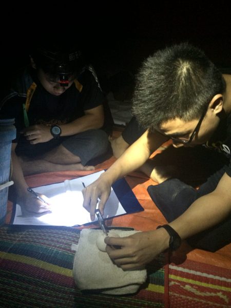 Danial and Edward weighing, measuring river terrapin eggs, and recording the measurements in the data sheets.