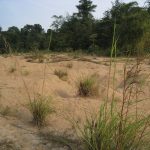 Pasir Merbau Eper in Kg Dadong