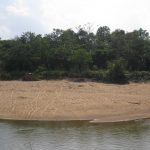 Amazing nesting site in Pasir Pok Yok