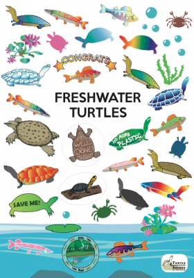 Turtle Stickers (4 pcs/set) - Image 3