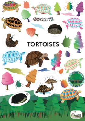 Turtle Stickers (4 pcs/set) - Image 4