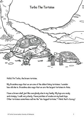 Turbo the Tortoise (PDF) - Image 2