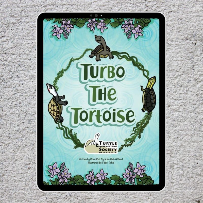 Turbo the Tortoise (PDF) - Image 1