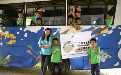 Turtle Awareness Programme in Tioman